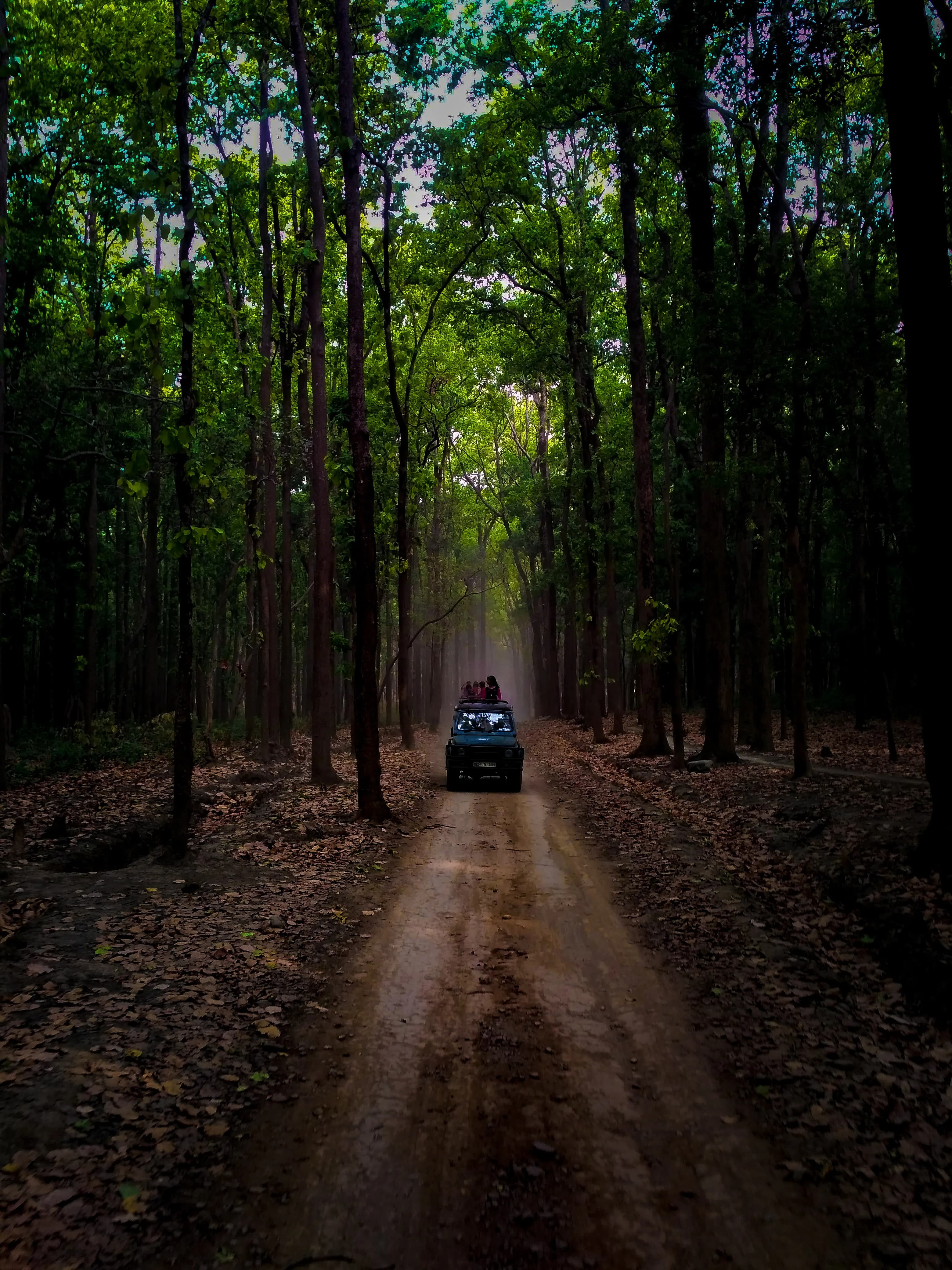 Accesorios y equipo 4x4 para aventura